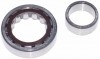 roulement de roue arrière extérieur pour cardans 113501277A Sur www.vw-discount.net