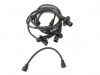 Faisceau d'allumage Ensemble de fils de bougie d'allumage Bosch (made in USA) 111998031A-BM